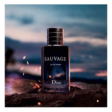 sauvage dior perfume review|sauvage dior rating.